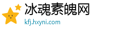 冰魂素魄网